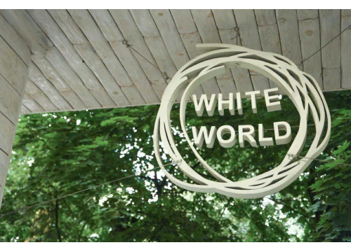 Білий Світ
